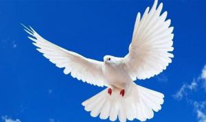 Milli Piyango İdaresinin Merkez Bankası Banknot Matbaası’nda bastırdığı yılbaşı özel