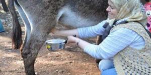 Anne sütüne en yakın olarak bilinen ve vitamin deposu olması