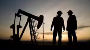 BOTAŞ BORU HATLARI İLE PETROL TAŞIMA AŞ. GENEL MÜDÜRLÜĞÜ 94