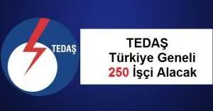 Türkiye Elektrik Dağıtım A.Ş. (TEDAŞ) Genel Müdürlüğü 250 Sürekli İşçi