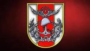 MSB Türk Silahlı Kuvvetleri 2017 Yılı Dış Kaynaktan Muvazzaf Subay
