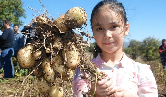 Yerel Kalkınmaya Katkı Ödülü, Başçiftlik Beyazı adıyla yeni bir patates