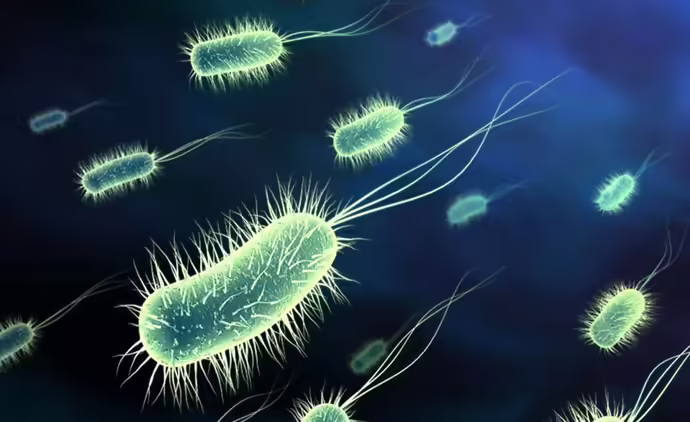 Antibiyotiklerin yanlış ve bilinçsiz kullanımı bu şekilde devam ederse 2050