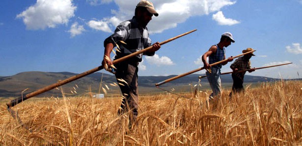 Gıda Tarım ve Hayvancılık Bakanı Ahmet Eşref Fakıbaba, çiftçiye 2018'de