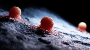 Türk bilim insanları, güdümlü ve patentli nanoteknolojik kanser ilacı üretti.