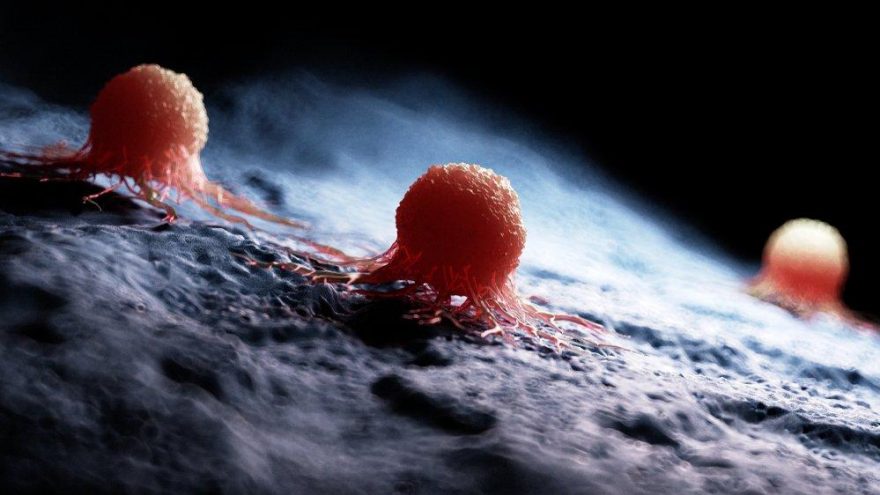 Türk bilim insanları, güdümlü ve patentli nanoteknolojik kanser ilacı üretti.