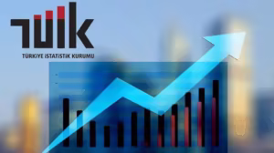 Tüketici fiyat endeksi (TÜFE) yıllık %15,61, aylık %0,91 arttı