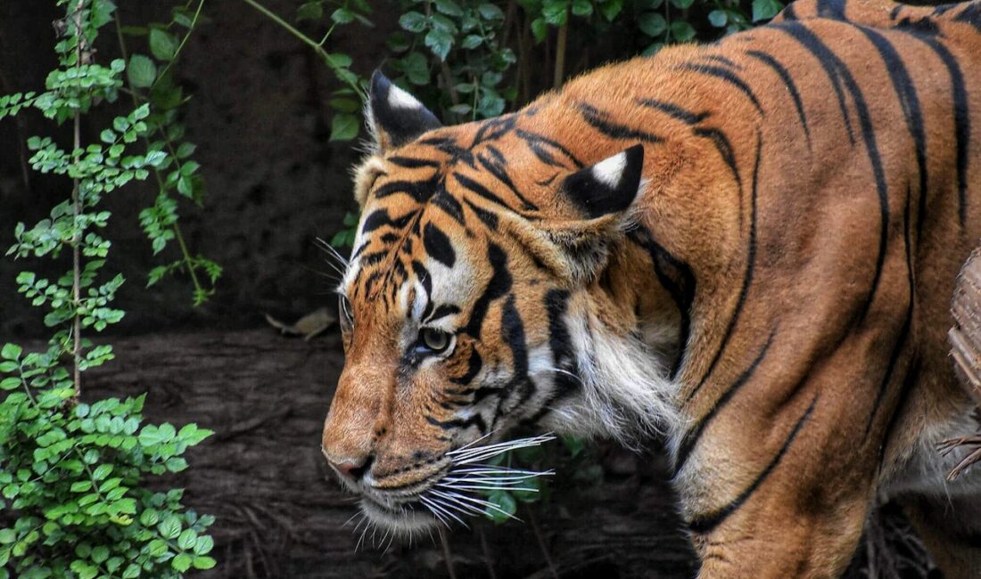 Ünlü dizi oyuncusu, sosyal medyada yarattığı etkileyici paylaşımıyla büyük bir
